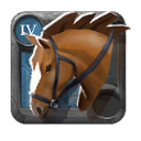Caballo de montar del iniciado