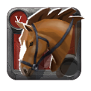 Caballo de montar del experto