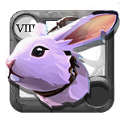 rabbit